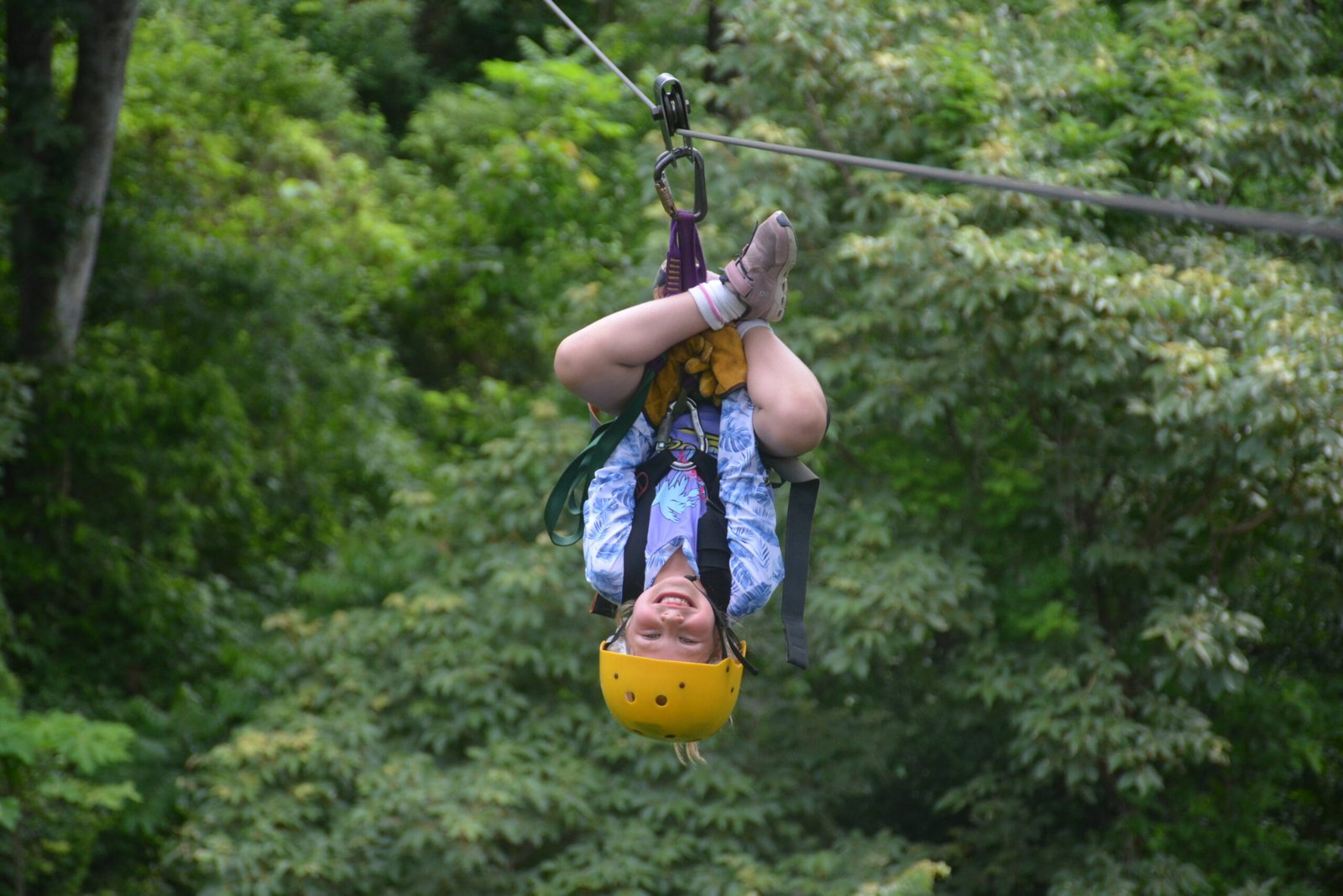 Zipline Adventure luxury experience