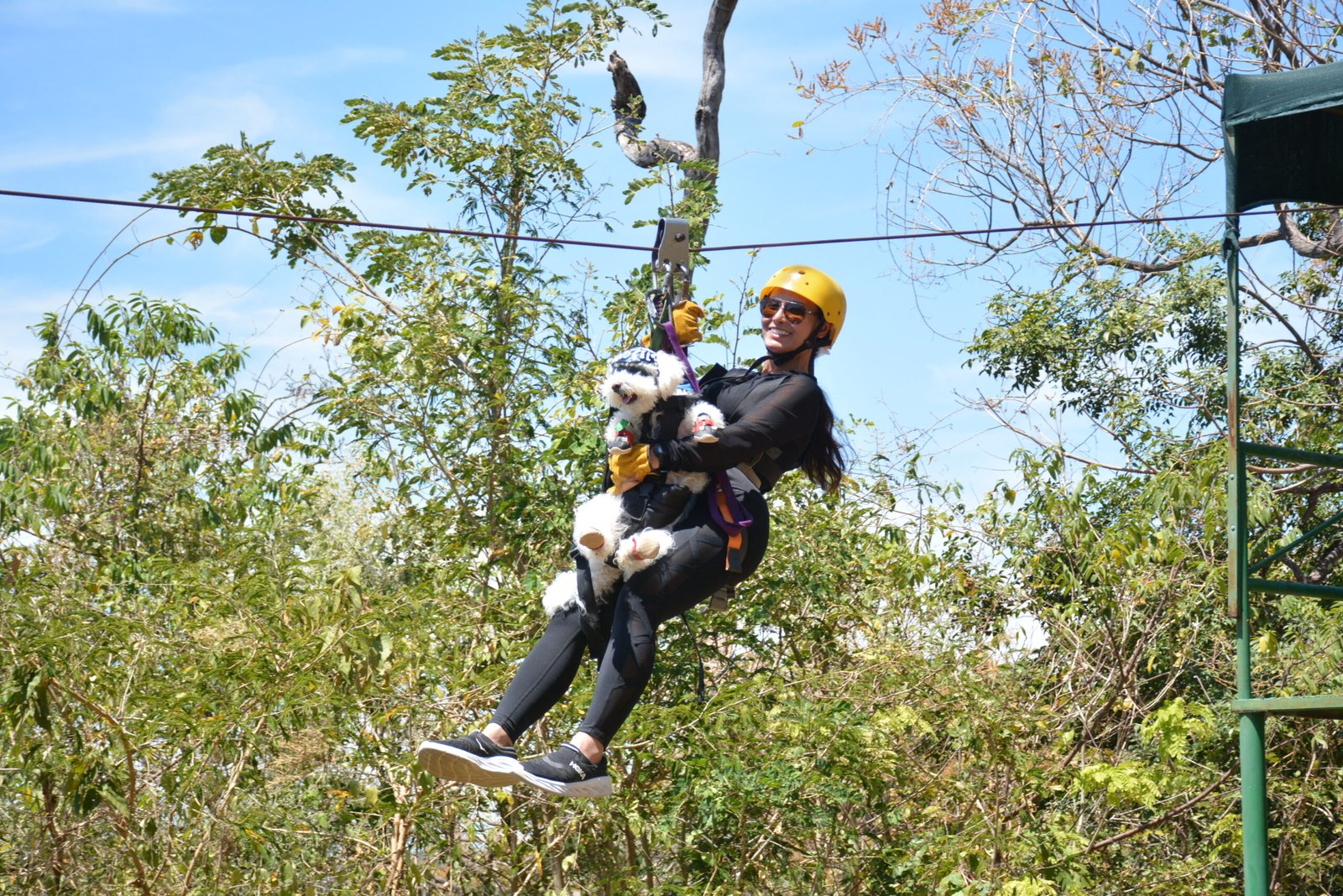 Adventure zipline experience in the forest